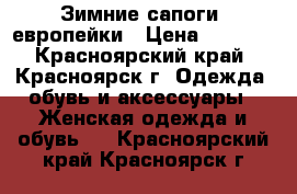 Зимние сапоги, европейки › Цена ­ 1 000 - Красноярский край, Красноярск г. Одежда, обувь и аксессуары » Женская одежда и обувь   . Красноярский край,Красноярск г.